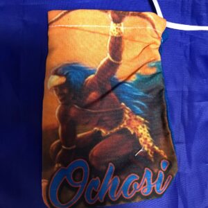 Oshosi Diloggun Caracoles Bag ? Divination Tool Storage