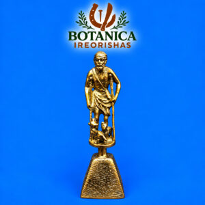 Campana de Bronce San Lazaro