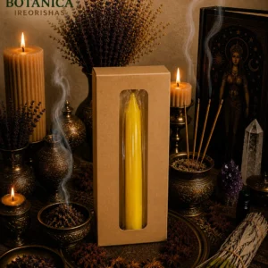 Box of Jumbo yellow candles 12