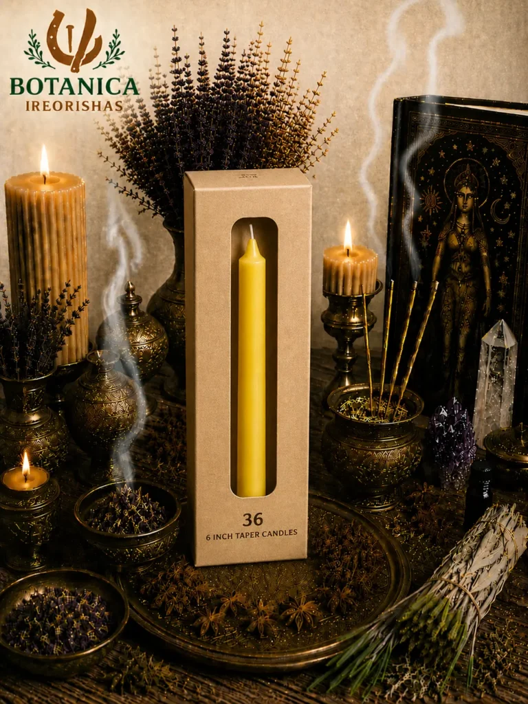 Box of taper yellow candles 36