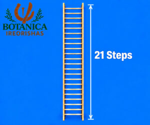 Escalera 21 Steps Ladder