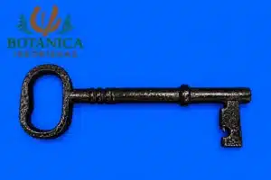 Llave Macho de Hierro
