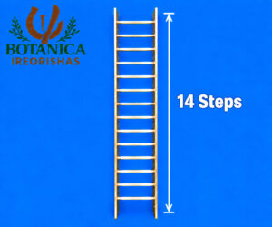 Escalera 14 Steps Ladder