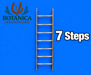 Escalera 7 Steps Ladder