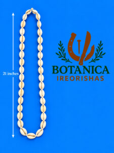 Collar de aje