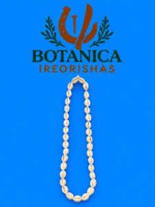 Collar de aje