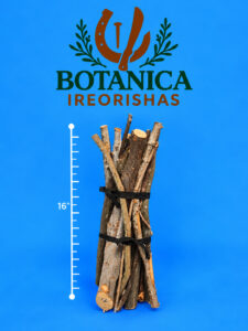 Carga de 21 palo 16