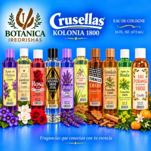 Colonia 16 oz