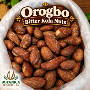 Orogbo Bitter Kola Nuts